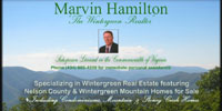 Marvin Hamilton - www.TheWintergreenRealtor.com